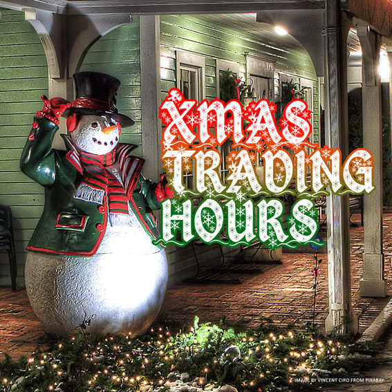 Info - OneDayPrint's Trading Hours for Christmas 2021, Square, Photo by Vincent Ciro from Pixabay
